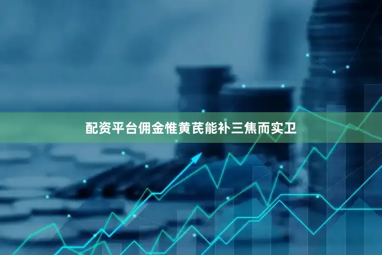 配资平台佣金惟黄芪能补三焦而实卫