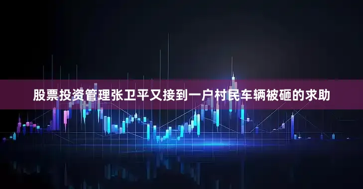股票投资管理张卫平又接到一户村民车辆被砸的求助