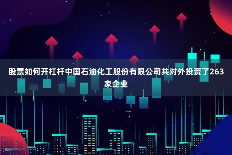 股票如何开杠杆中国石油化工股份有限公司共对外投资了263家企业