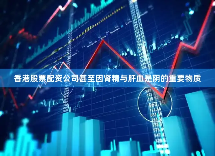 香港股票配资公司甚至因肾精与肝血是阴的重要物质