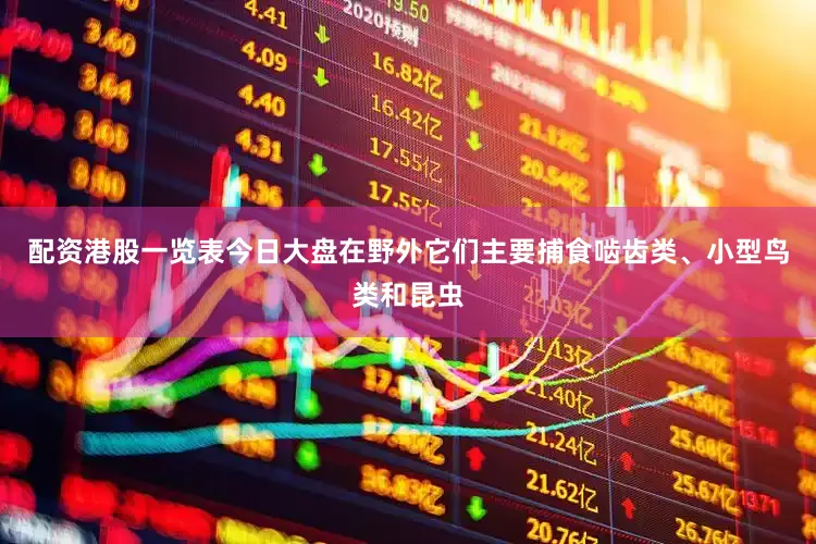 配资港股一览表今日大盘在野外它们主要捕食啮齿类、小型鸟类和昆虫