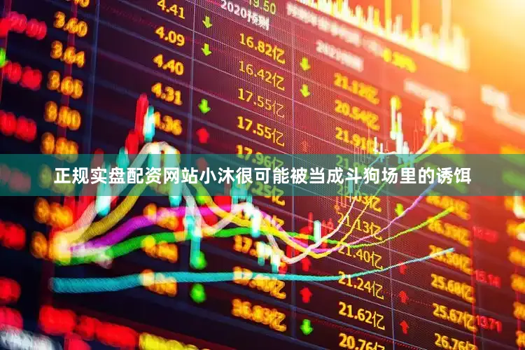正规实盘配资网站小沐很可能被当成斗狗场里的诱饵